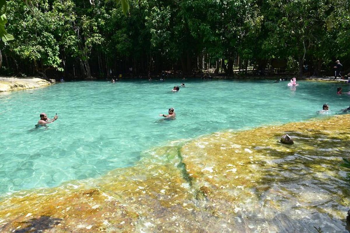 sekumpulan orang berenang di dalam kolam air