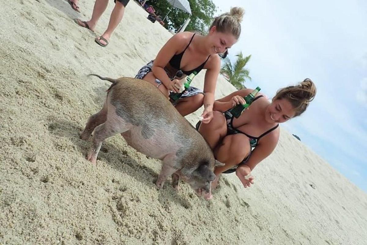 dues noies en banyador a la platja amb un porc