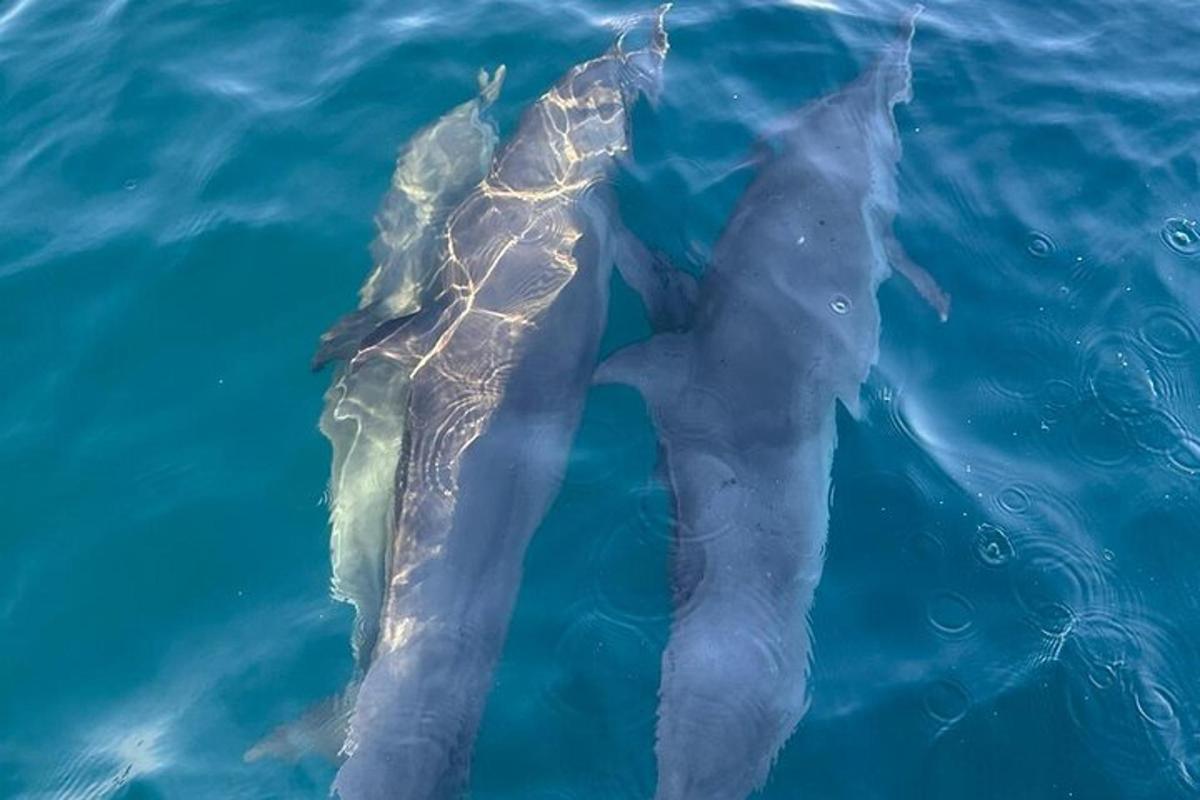 Lankytinos vietos ar pramogos nuotrauka numeris 1