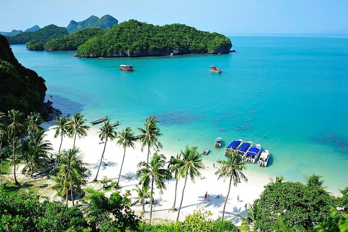 una playa con palmeras y barcos en el agua