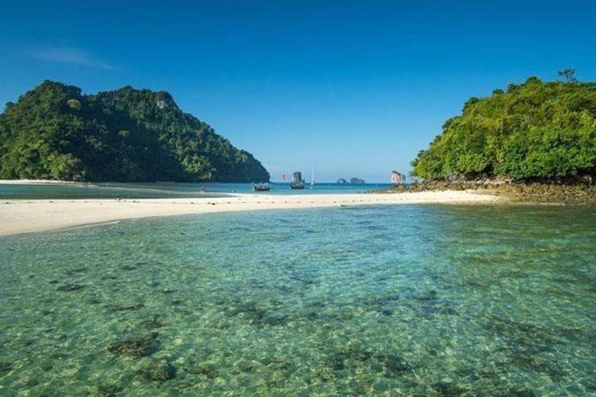 một bãi biển có nước trong và nhiều cây xanh