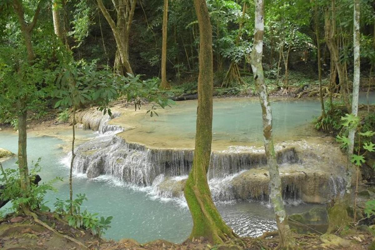 uma cachoeira no meio de uma floresta