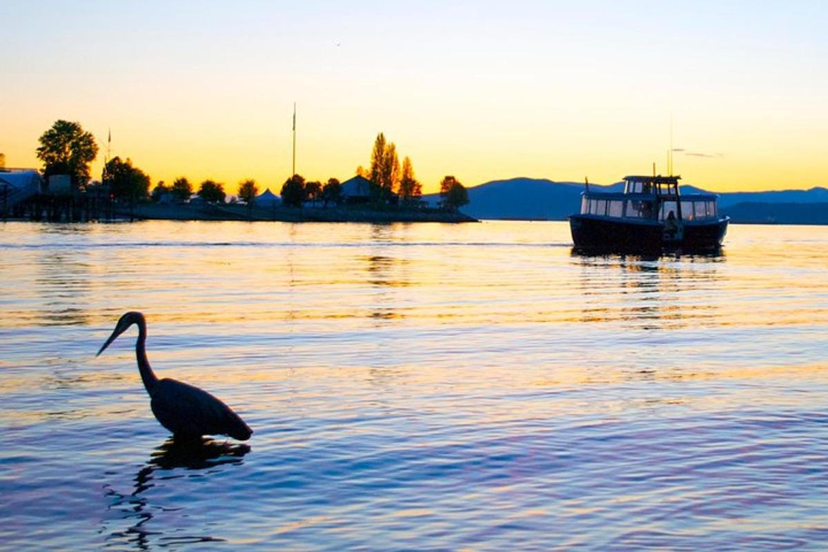 a bird in the water in front of a boat