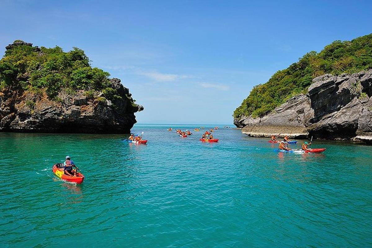 sekumpulan orang dalam kayak dalam badan air