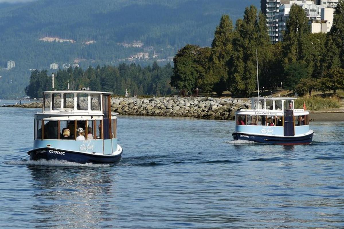 two trolley boats on a body of water