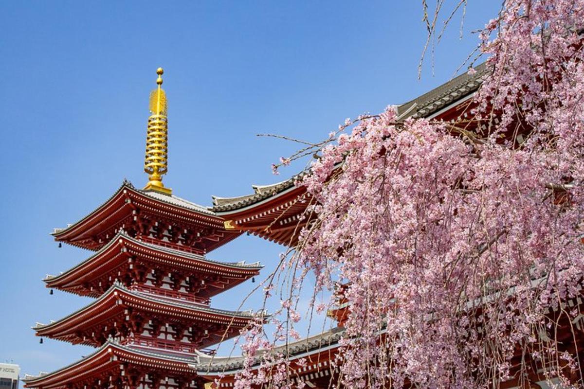 isang pagoda na may namumulaklak na puno sa harap nito