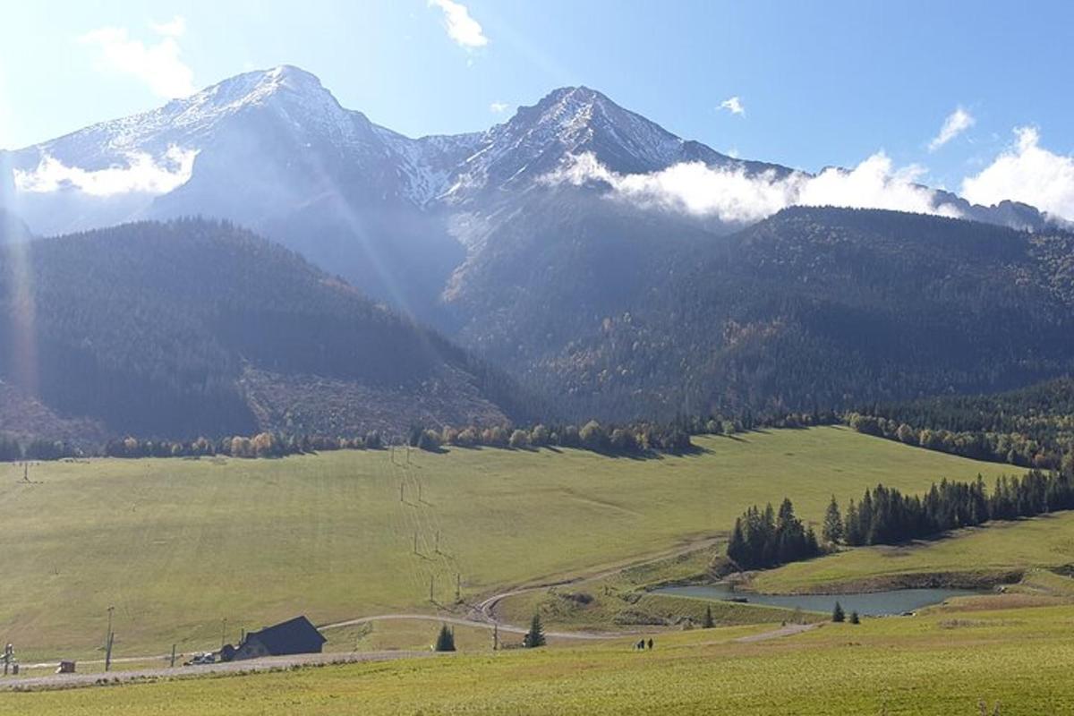 um grande campo verde com montanhas ao fundo