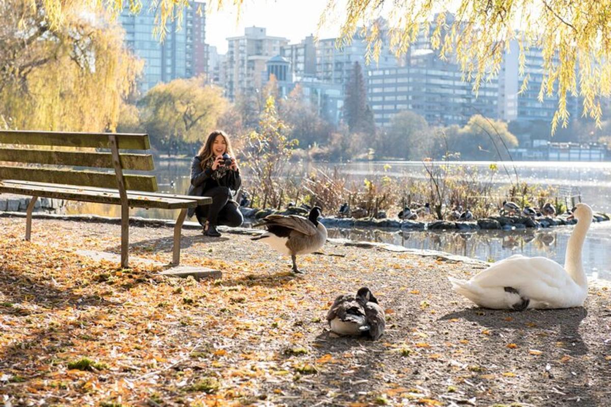 una dona asseguda en un banc d'un parc amb ànecs i cignes