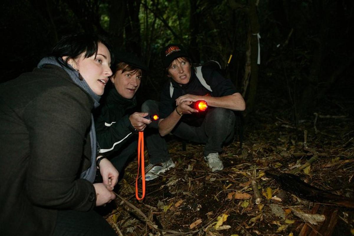 a group of people sitting in the woods