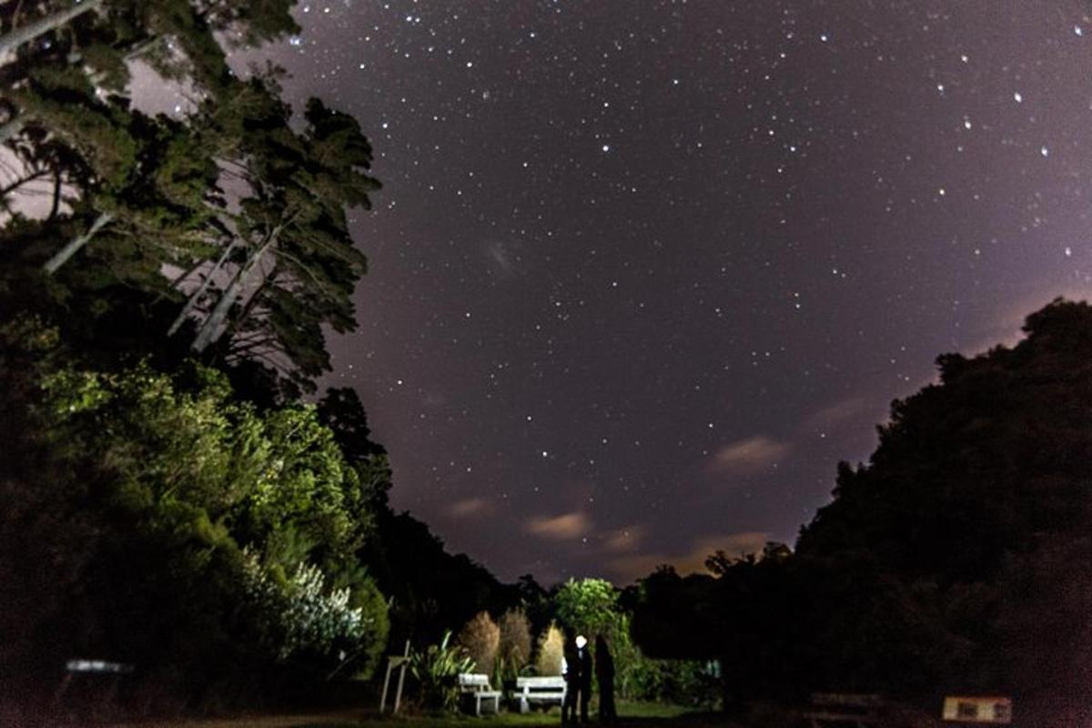 a person standing under a night sky with stars