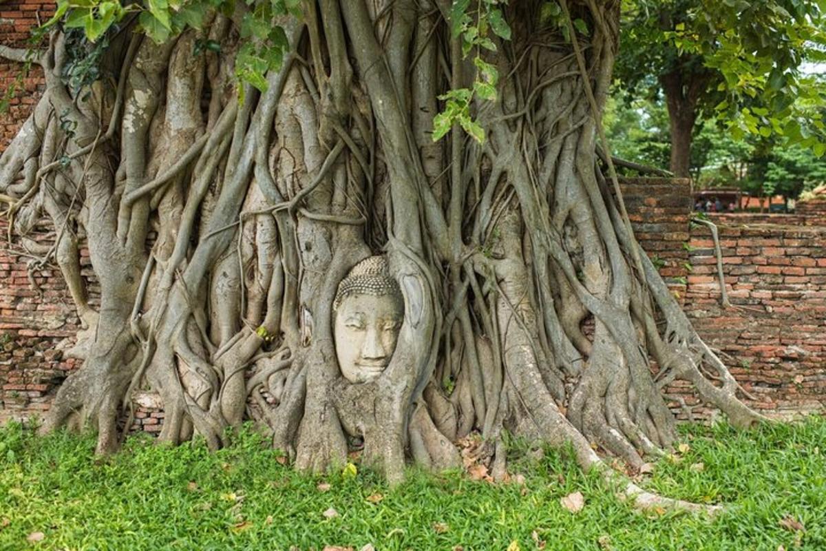 un albero con una statua di una testa