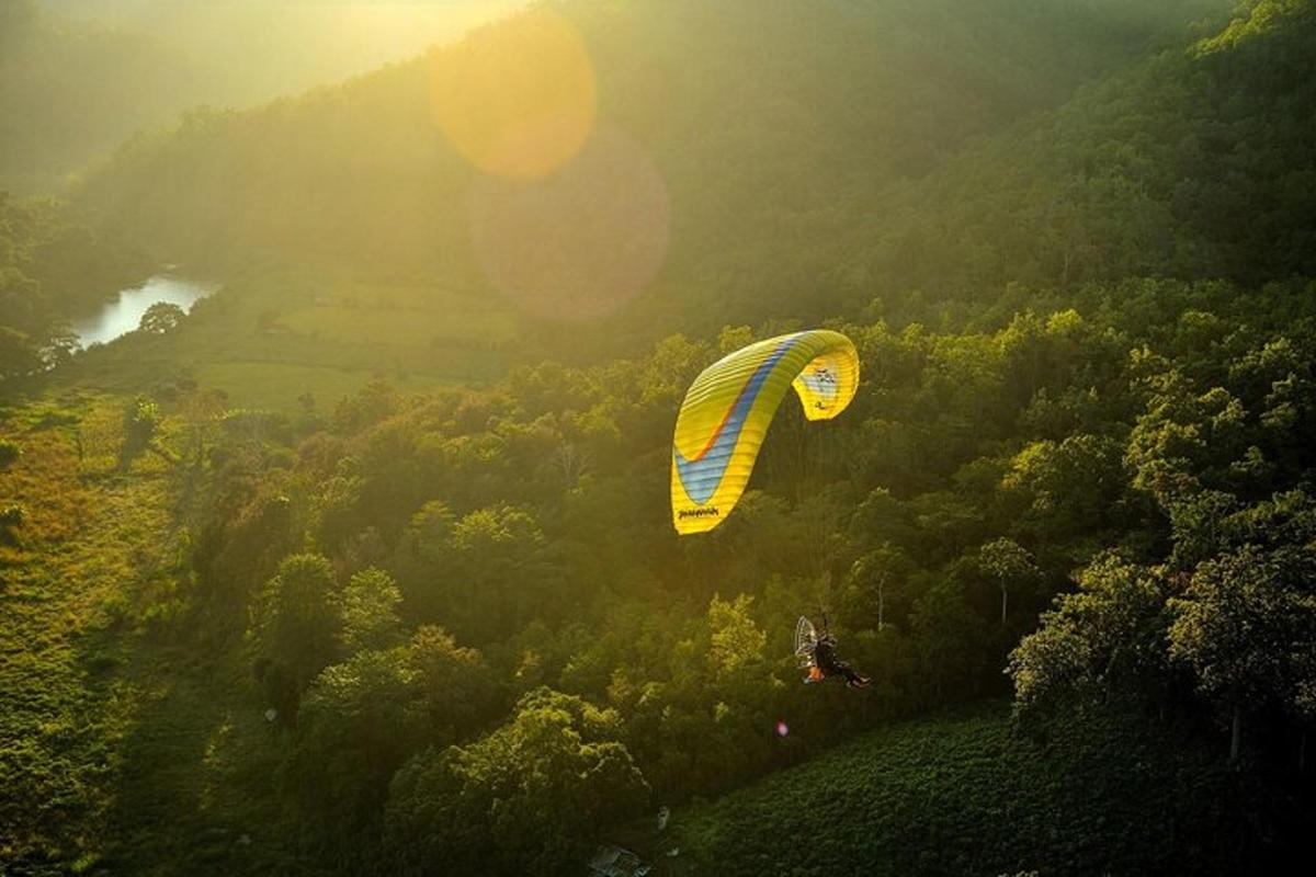a yellow and blue kite flying over a forest