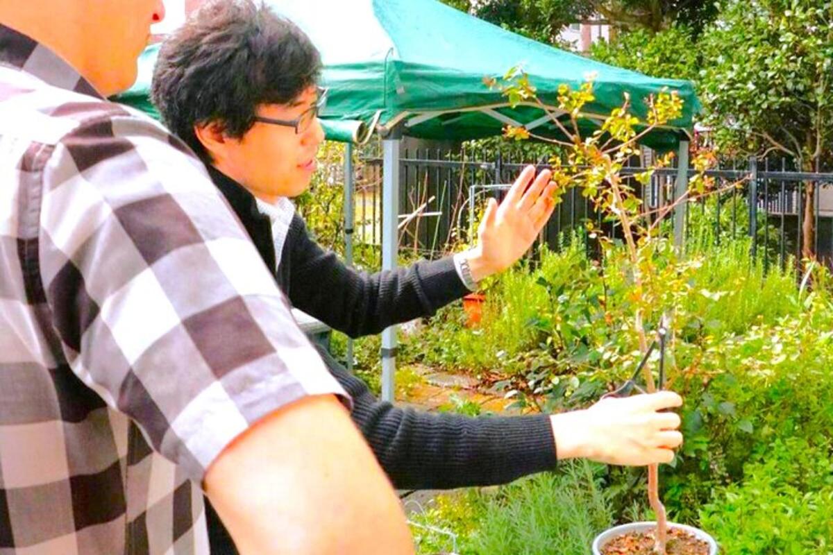 một người đàn ông đang trồng cây trong vườn