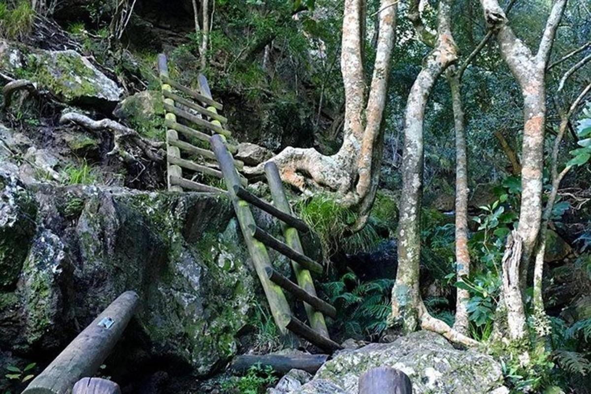 a wooden fence on the side of a mountain