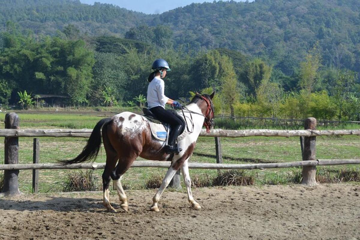 uma mulher cavalgando perto de uma cerca