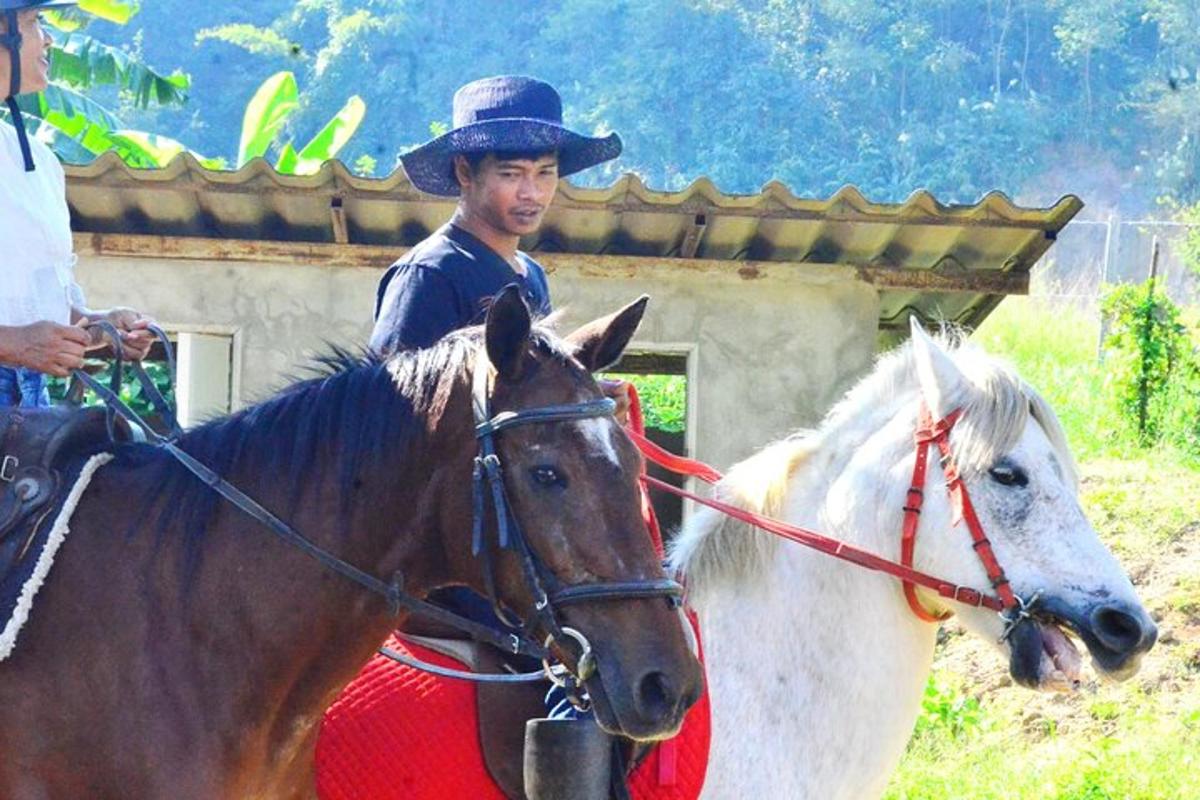 um homem com um chapéu de cowboy cavalgando um cavalo