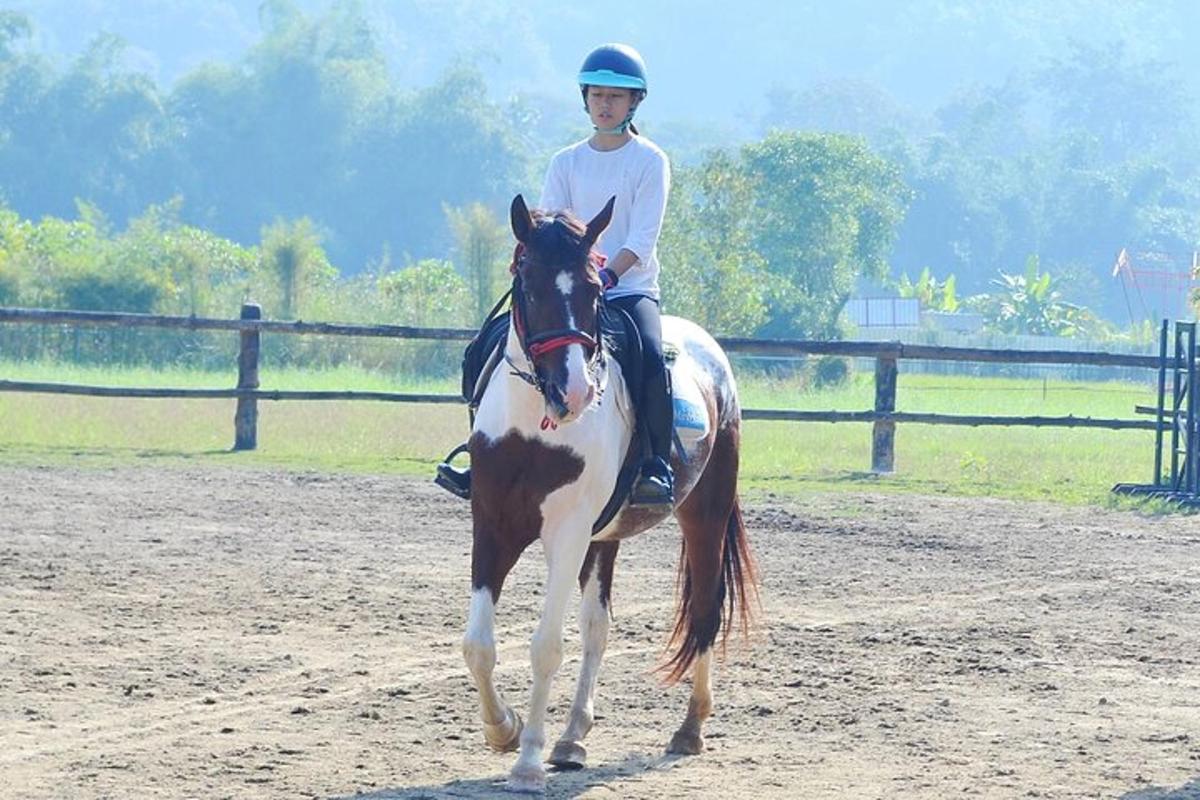 uma jovem cavalgando um cavalo em um campo