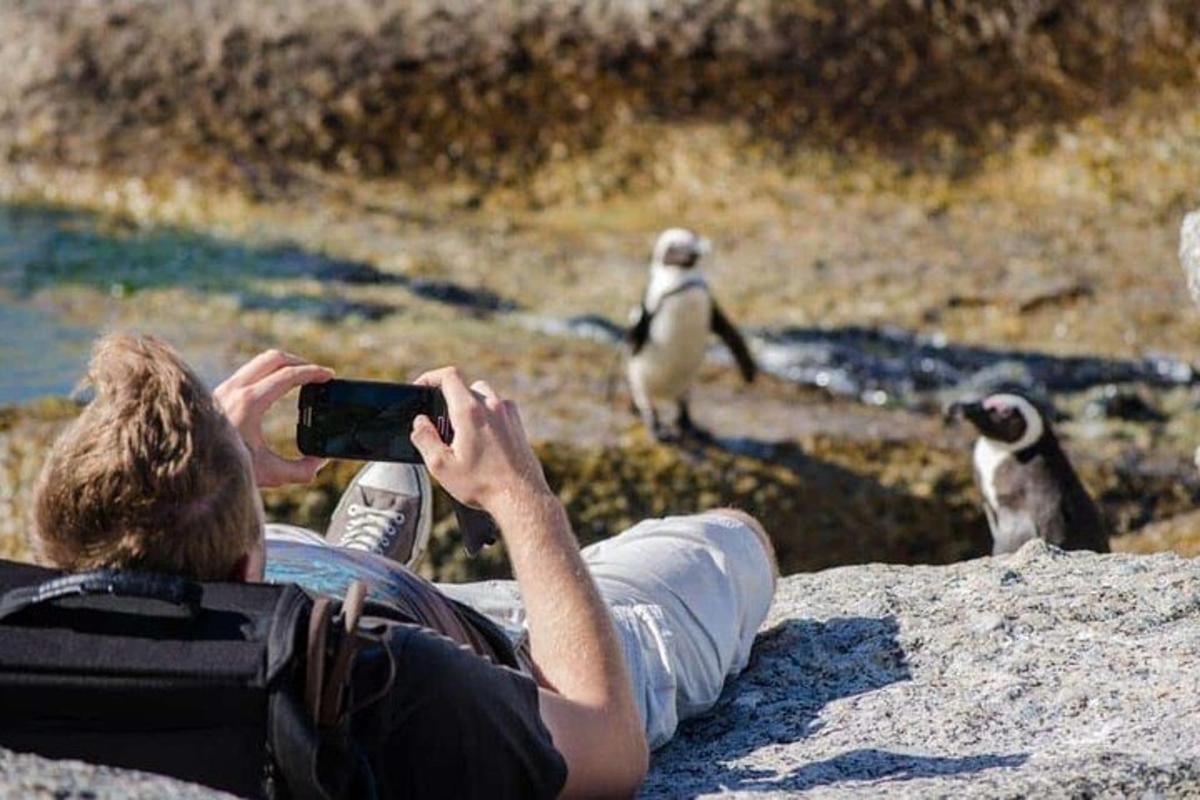 un uomo che scatta una foto a un pinguino