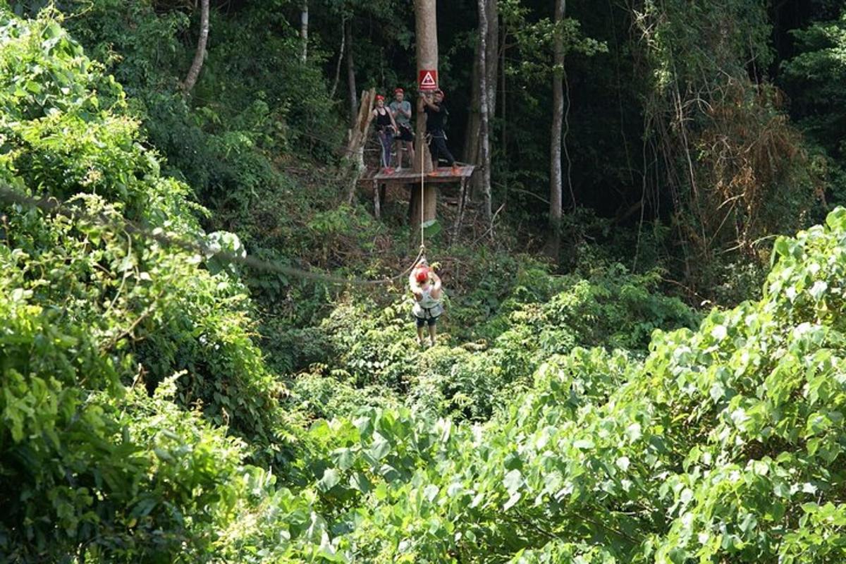 una persona caminant per una selva amb un ascensor al fons