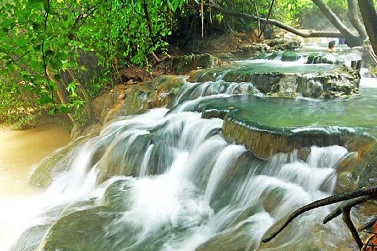 una serie di rapide su un fiume con alberi