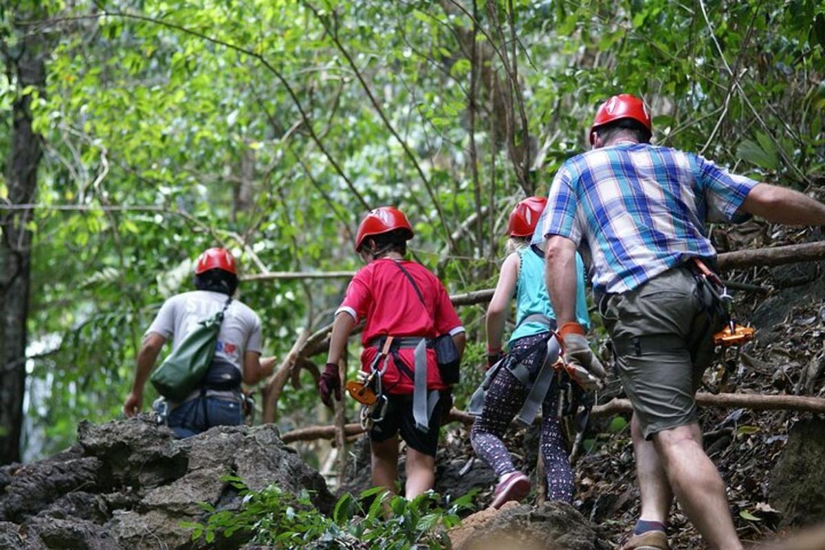 un grup de persones caminant per un camí forestal