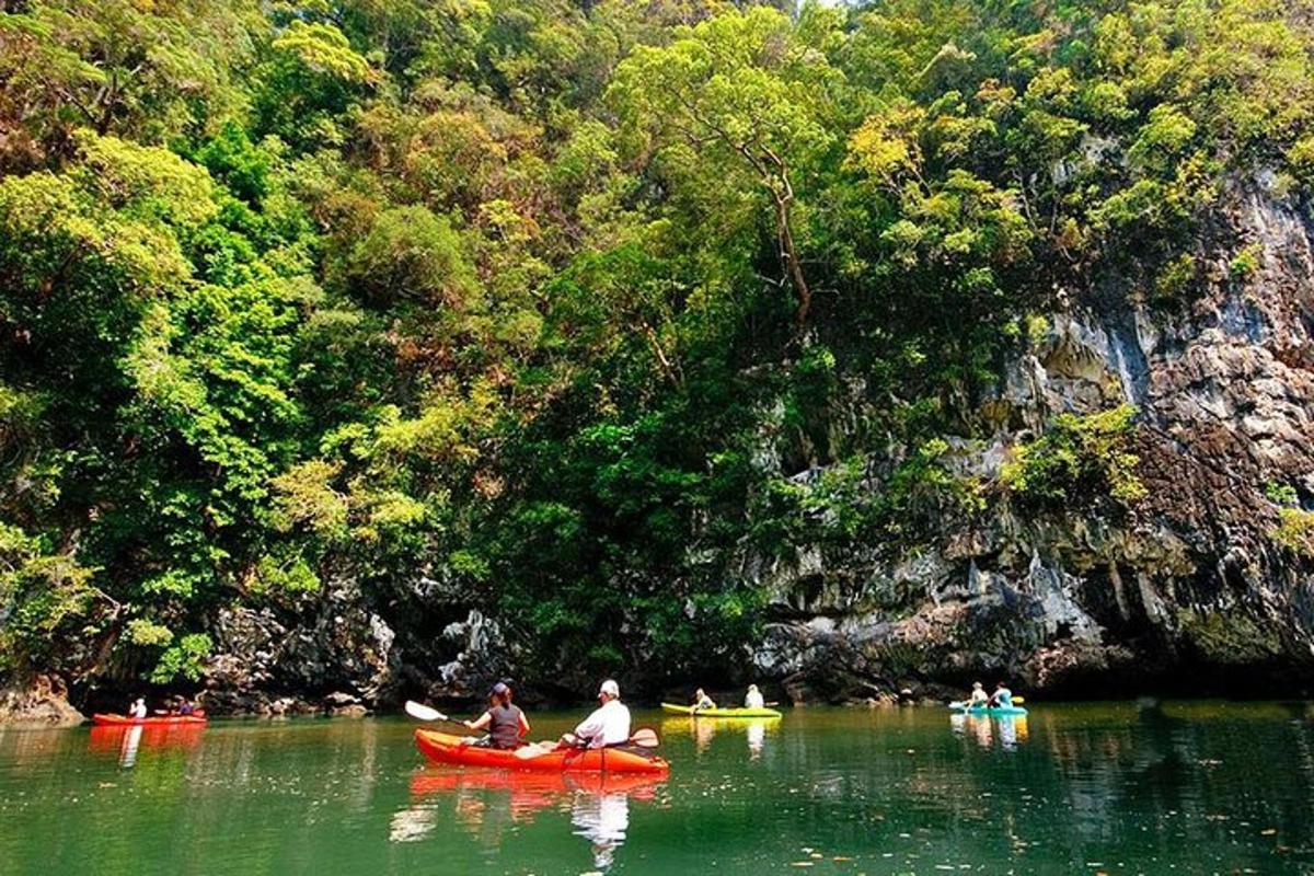 a group of people in kayaks on a river