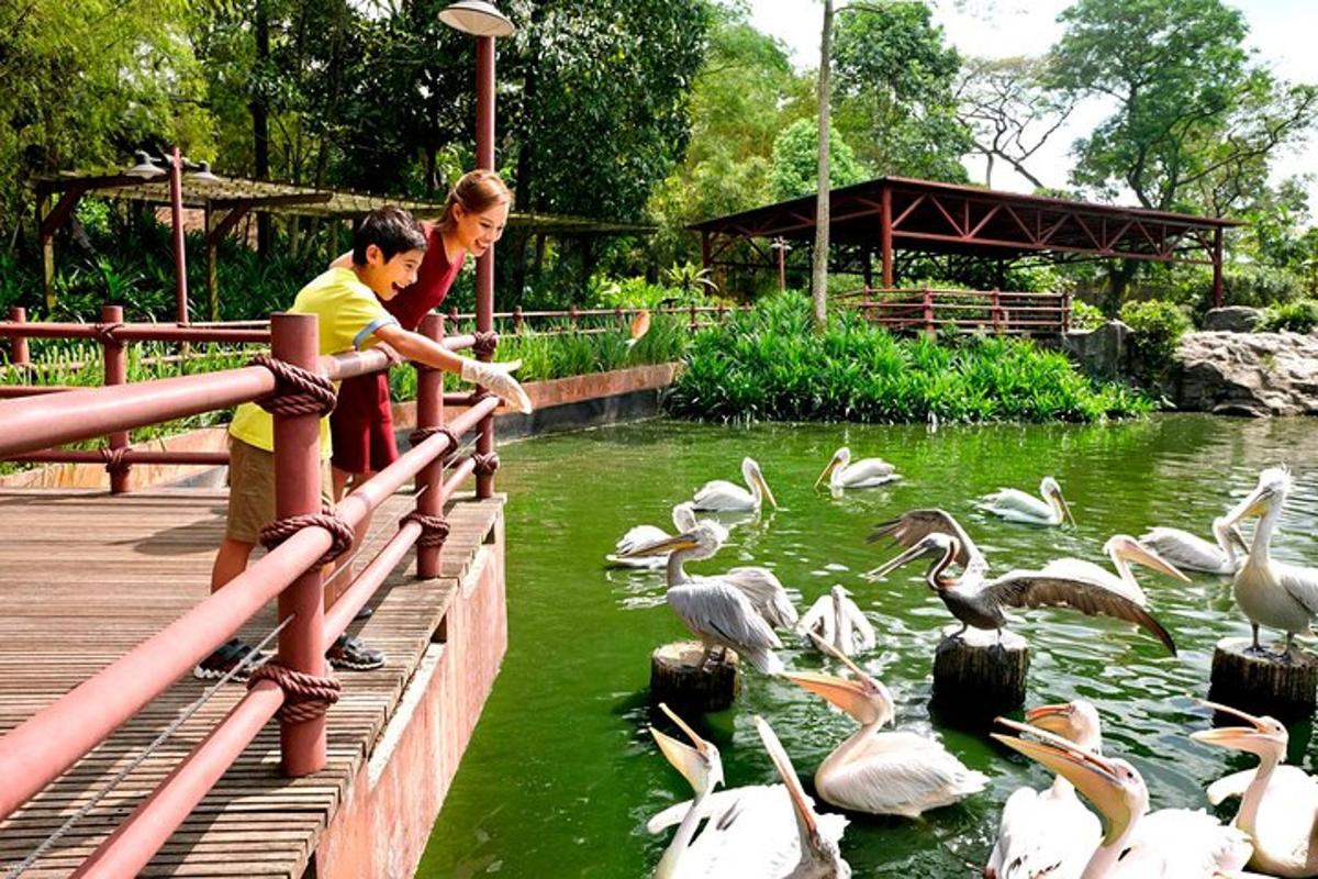 Attraction picture 7