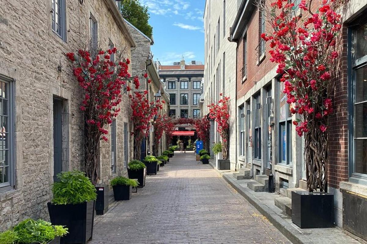 una strada vuota con fiori ai lati degli edifici