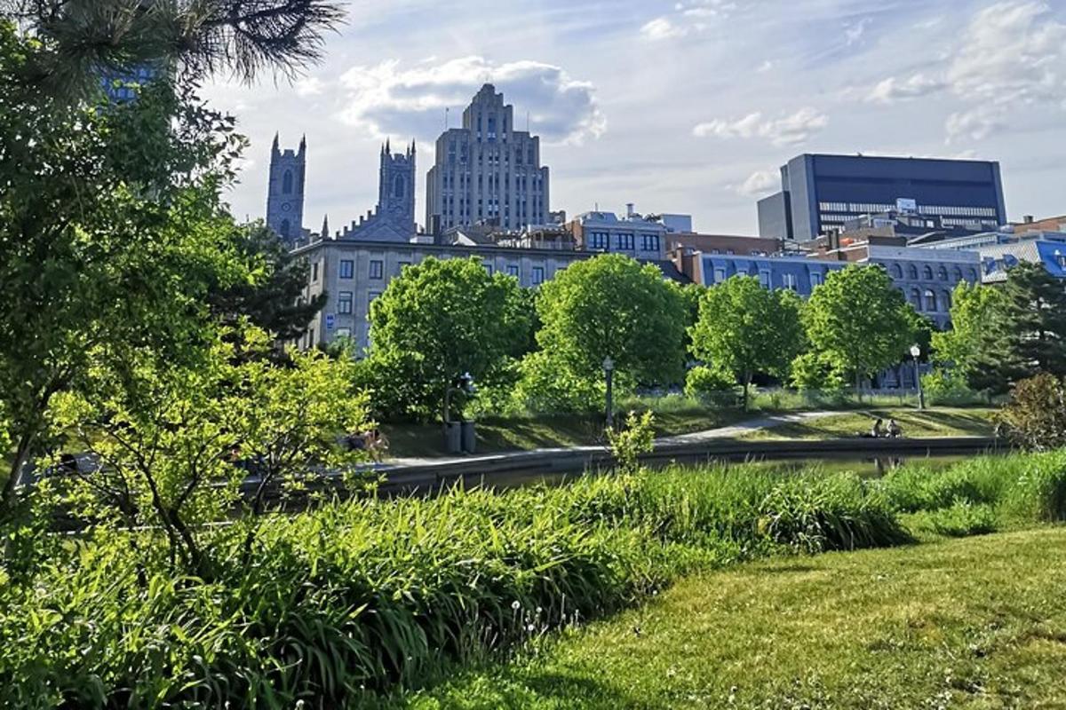 uma vista de uma cidade de um parque com edifícios