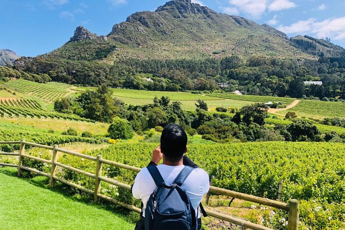 seorang lelaki dengan beg galas mengambil gambar gunung