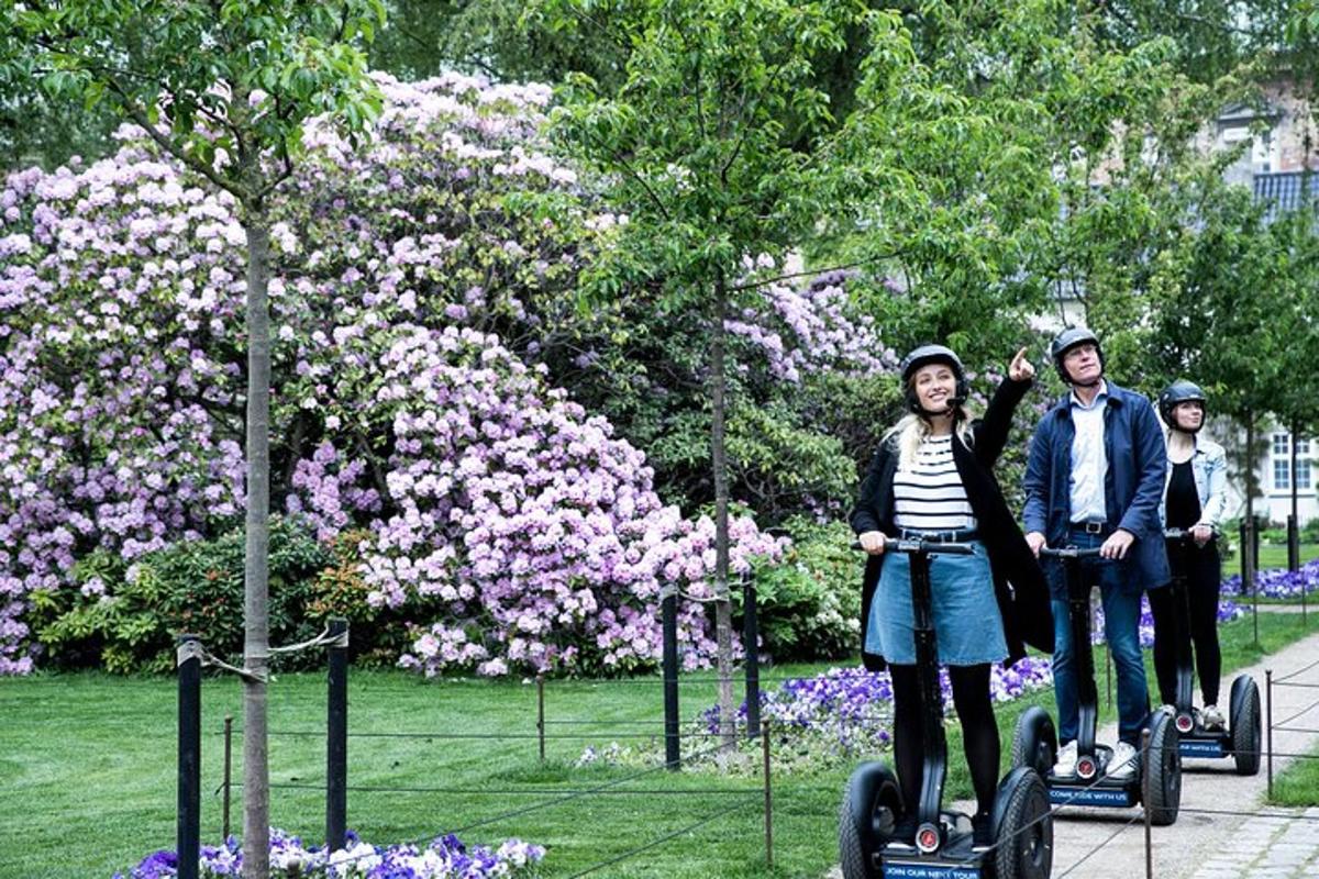 un grup de persones muntant segways en un parc