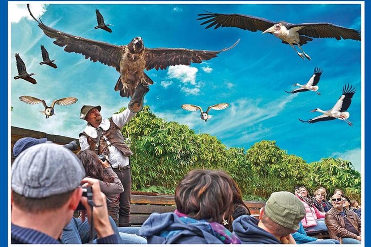 Fotografia da atração 6