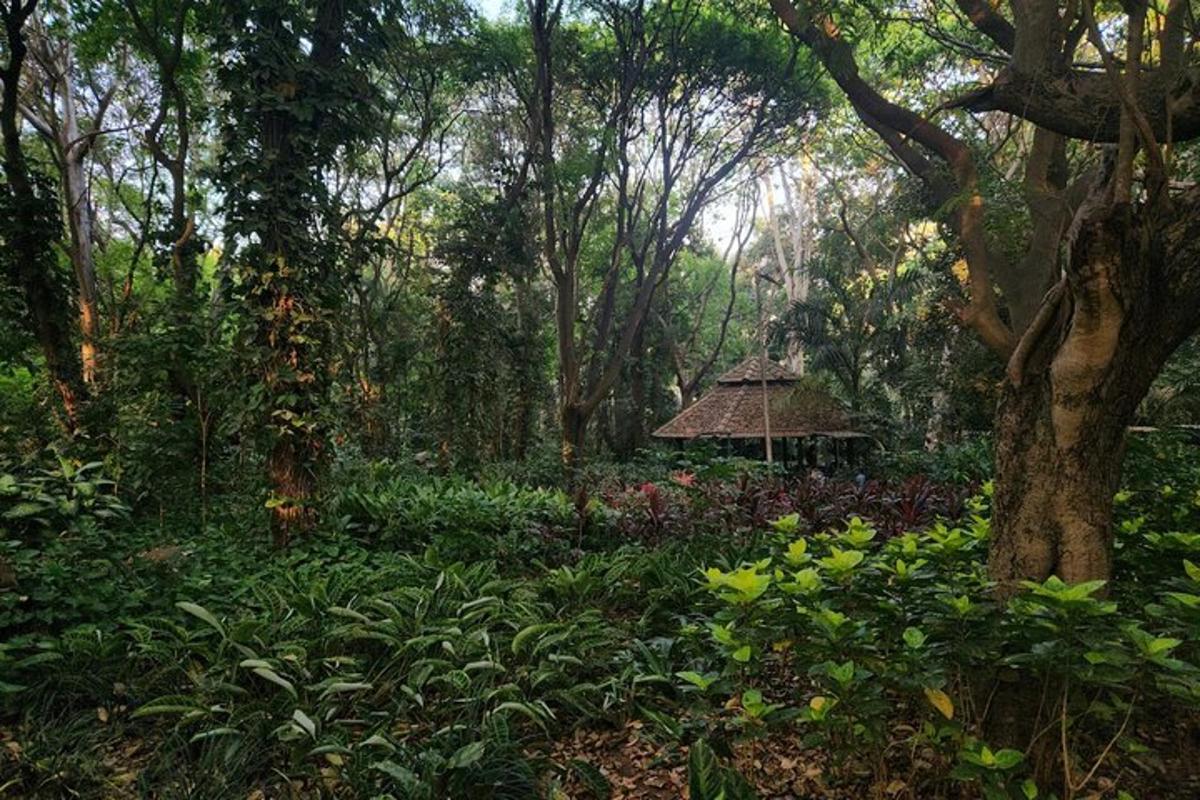 a small gazebo in the middle of a forest