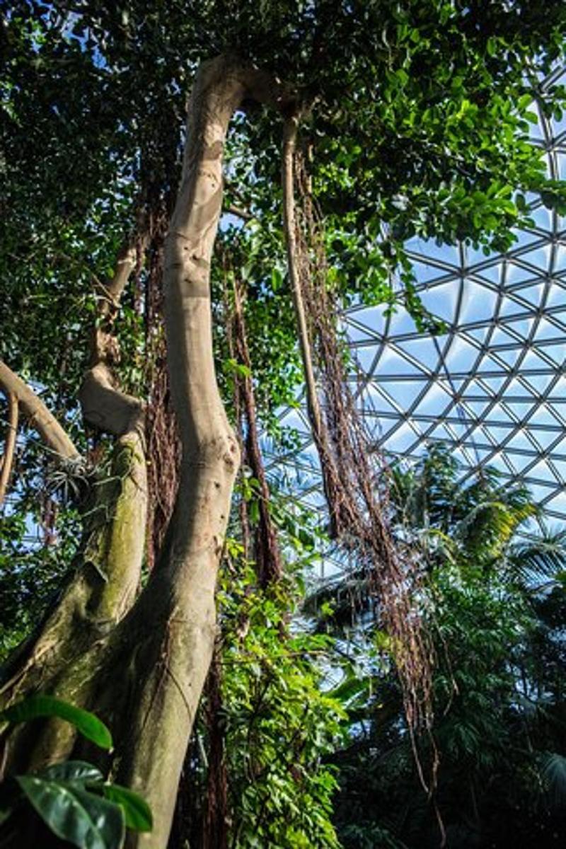 Attraction picture 7