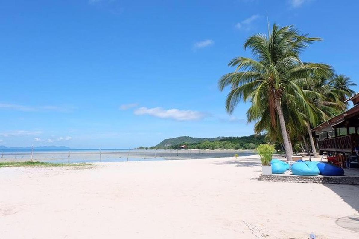 pantai dengan pokok palma dan rumah