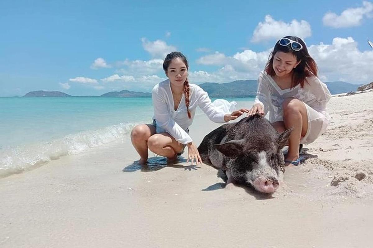 dua wanita bermain dengan babi di pantai