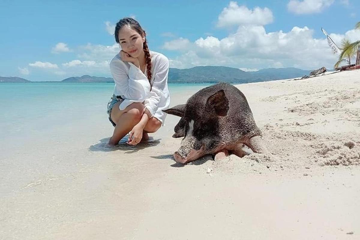 seorang wanita duduk di pantai dengan babi di dalam pasir