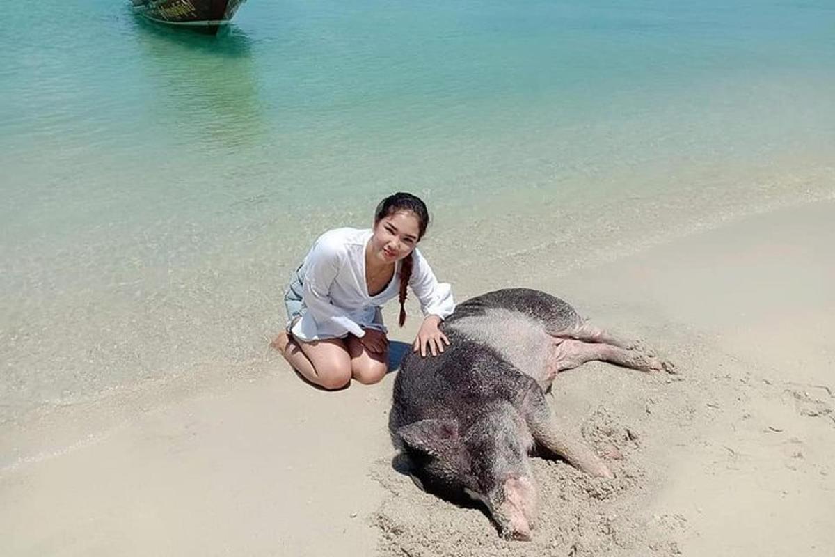 seorang wanita berlutut di pantai dengan anak gajah