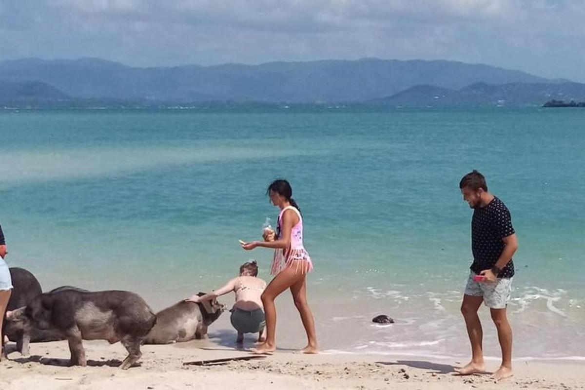 a group of people on the beach with animals