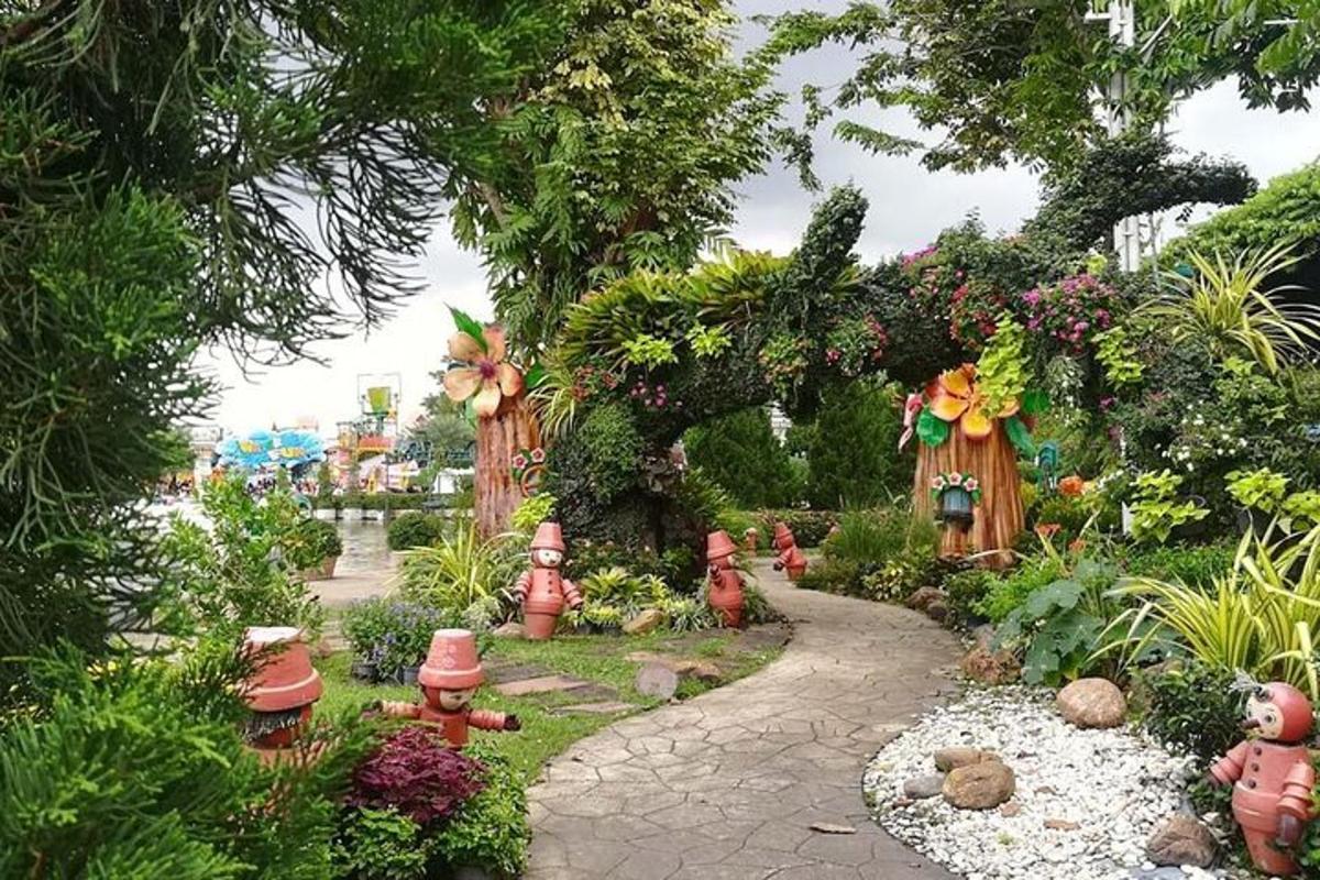 a garden with many different types of plants and flowers