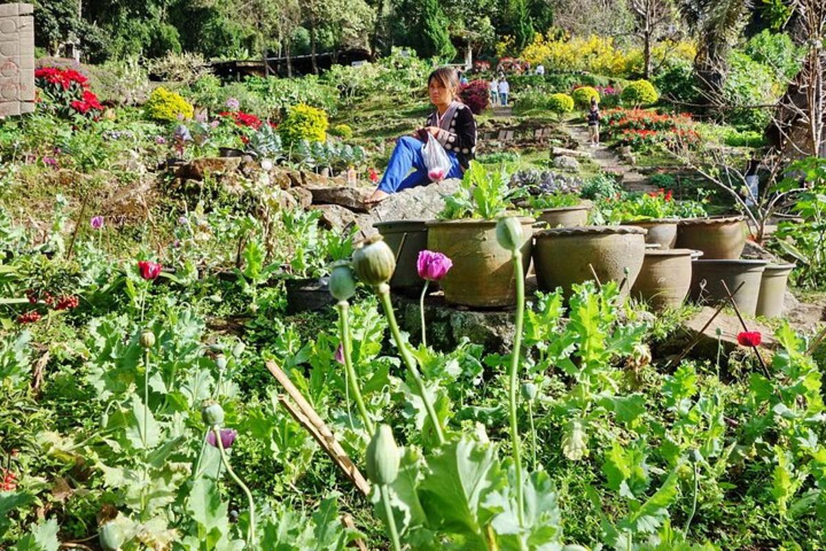 uma mulher sentada em um jardim com muitas plantas