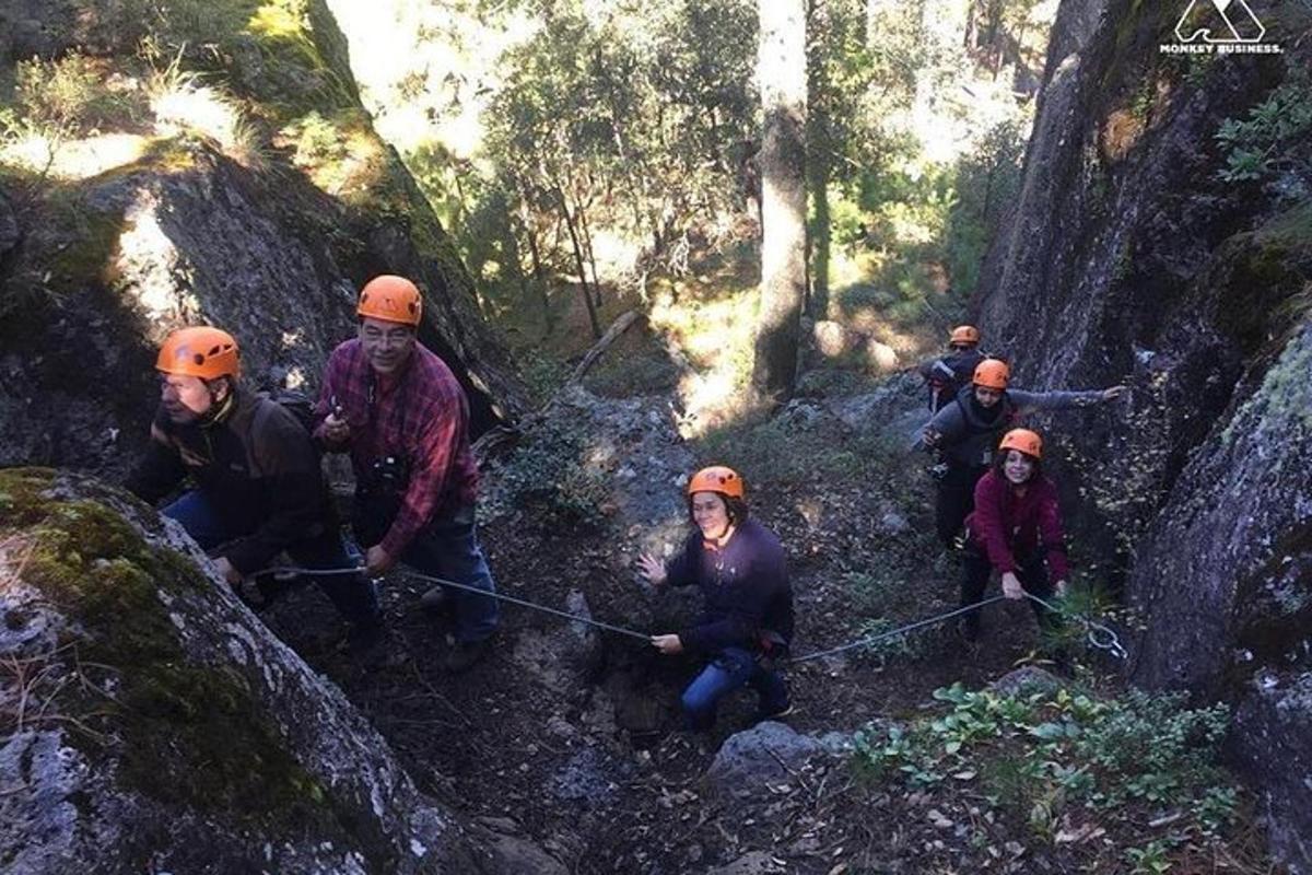 a group of people on a trail in a forest