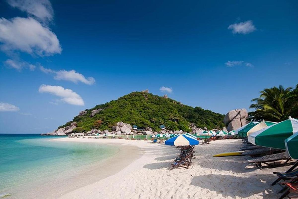 egy strand napernyőkkel, székekkel és az óceánnal