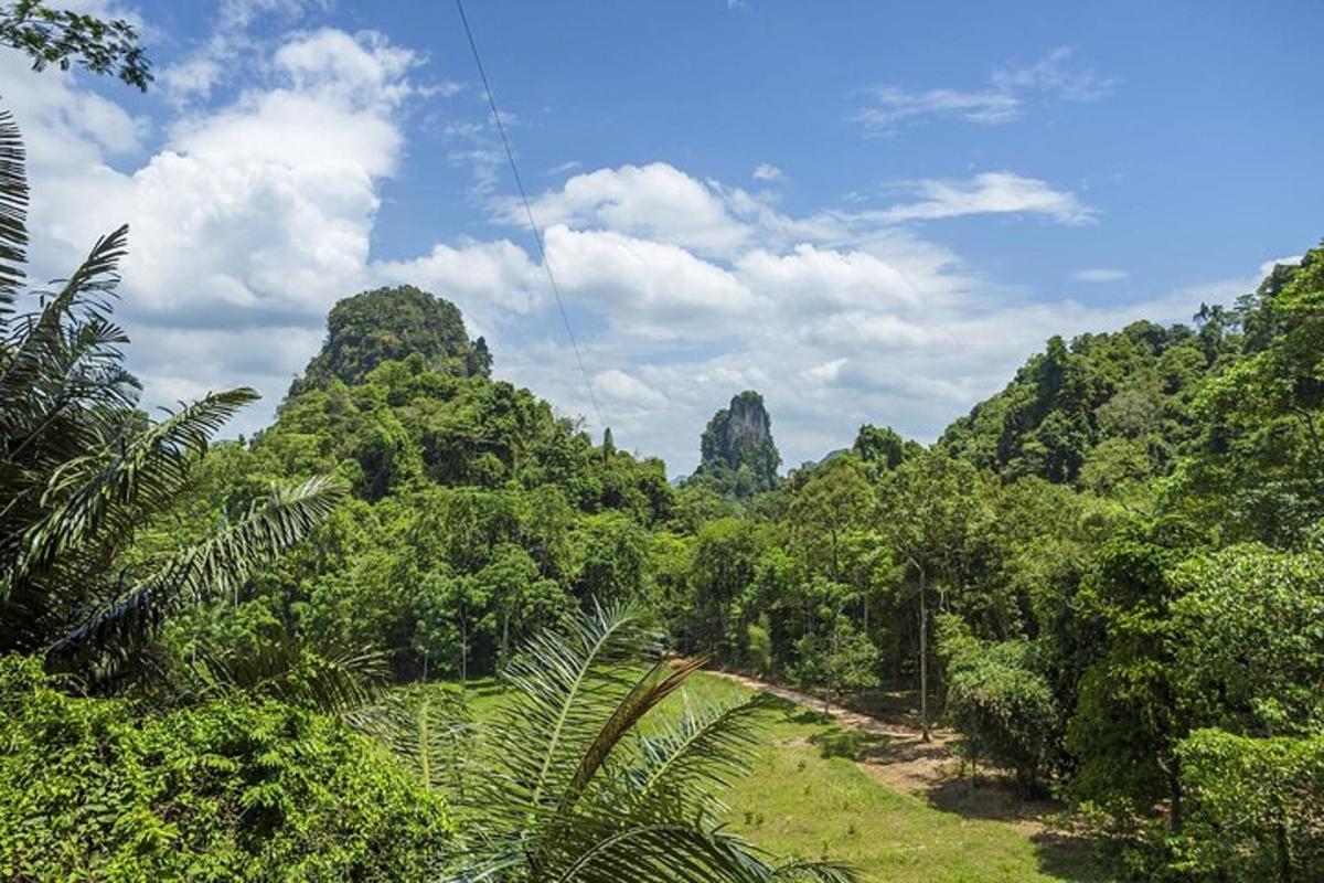uma vista de uma selva com árvores e um céu azul