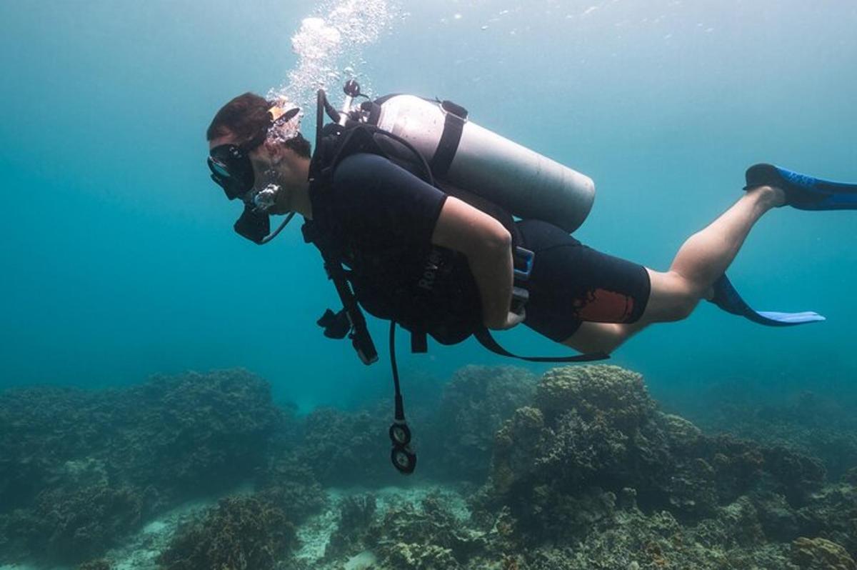 a woman in a scuba gear swimming over a reef