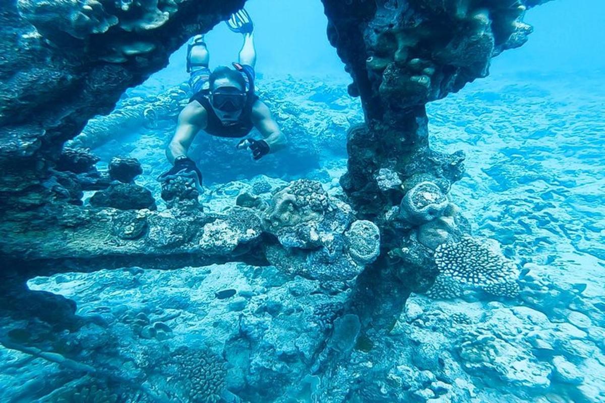 a person is swimming in the water near the reefs