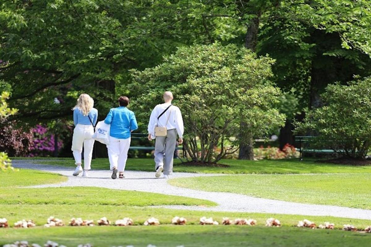 Bilde 3 av attraksjonen