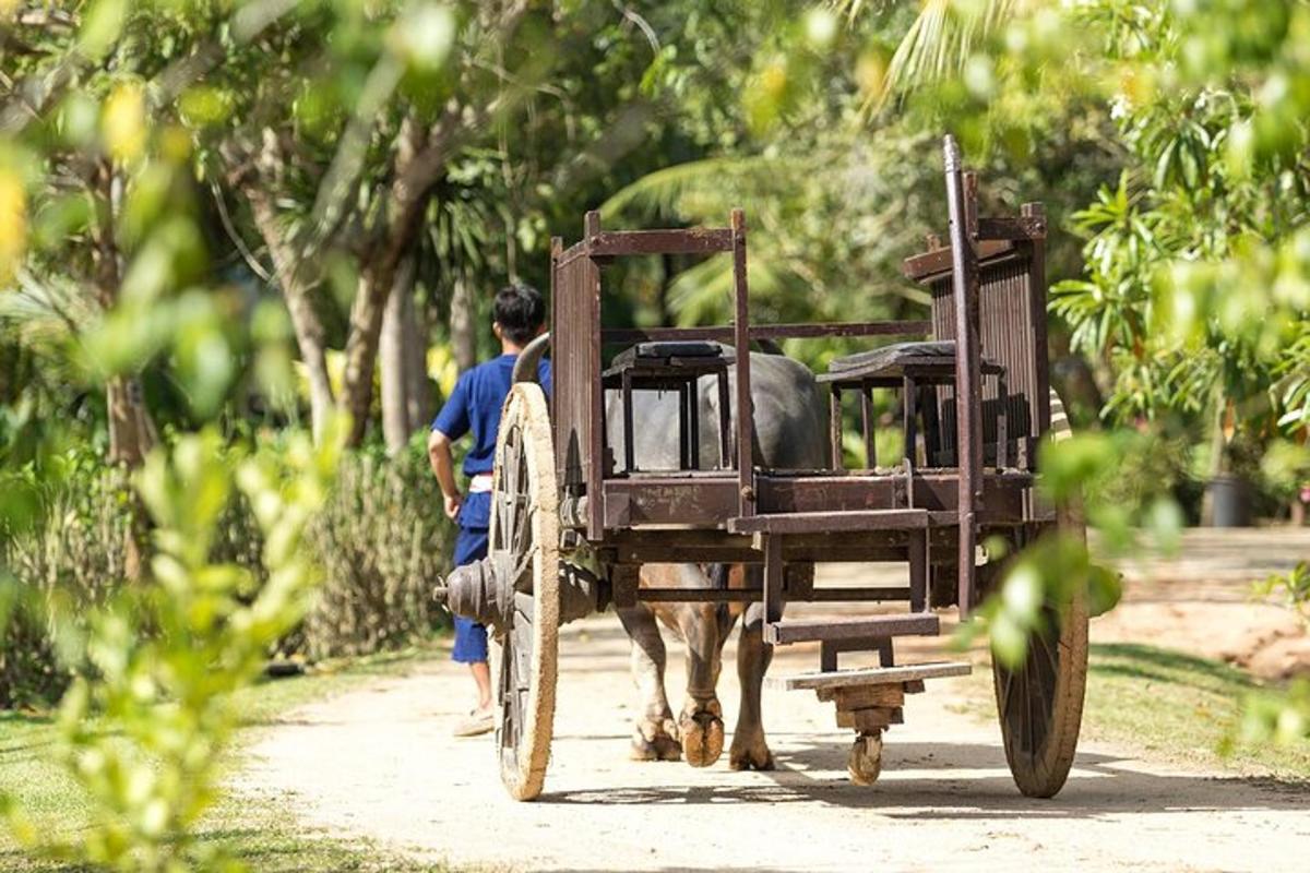 a man pulling a horse drawn carriage on a dirt road