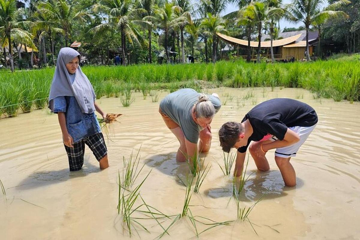 a group of people standing in the water