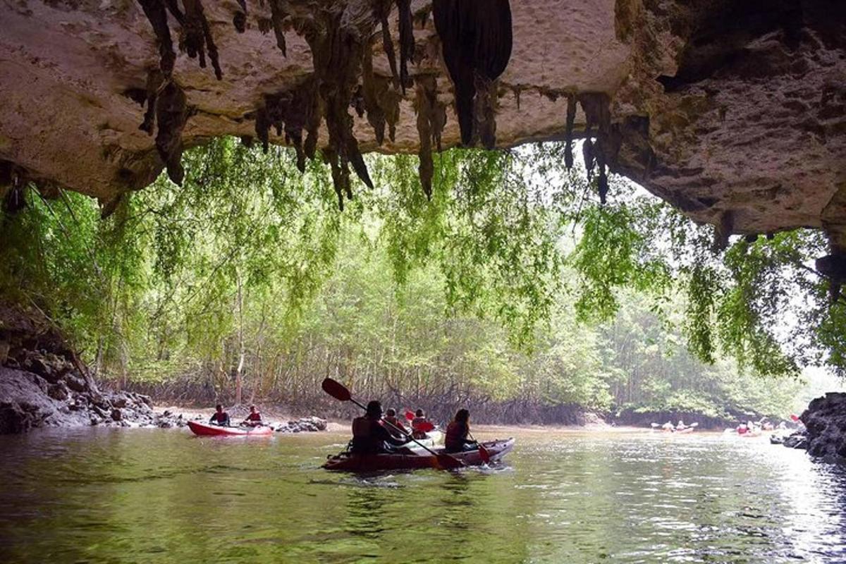 um grupo de pessoas em caiaques em um rio